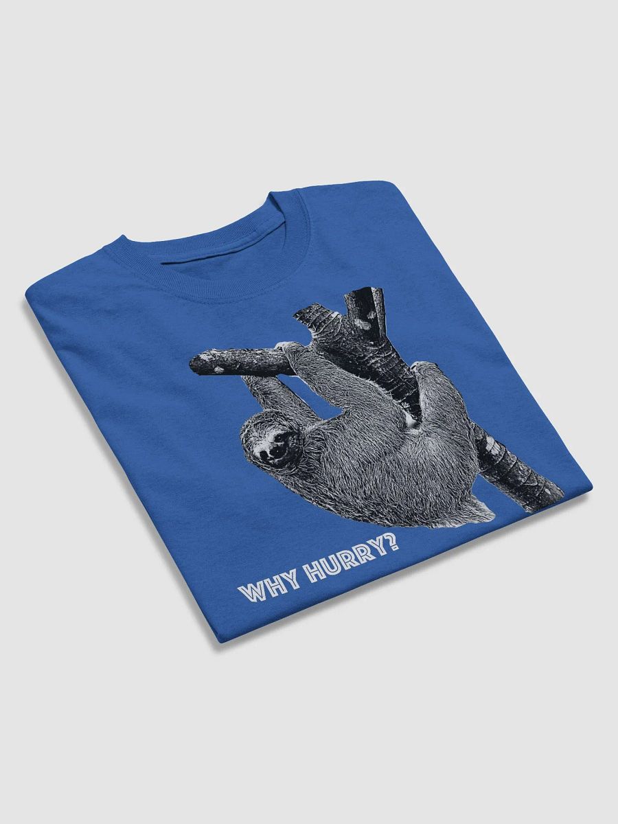 Lunch Therapy Sloth - Why Hurry? - Perfect Weight® Tee product image (3)