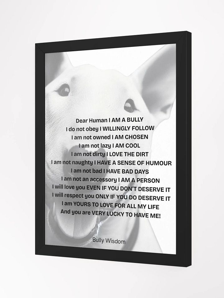 Bull Terrier "Dear Human, I am a Bully" product image (12)