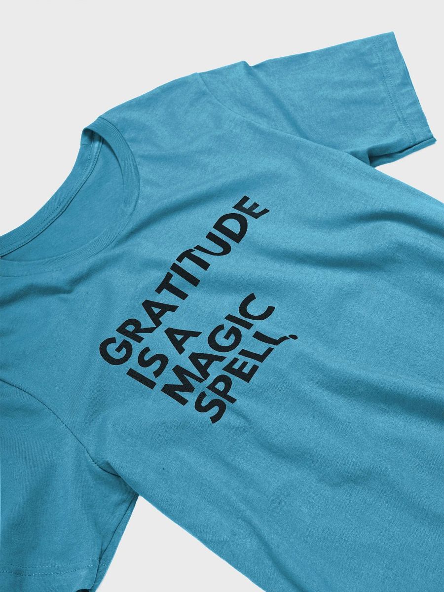 Gratitude Spell Tee product image (20)