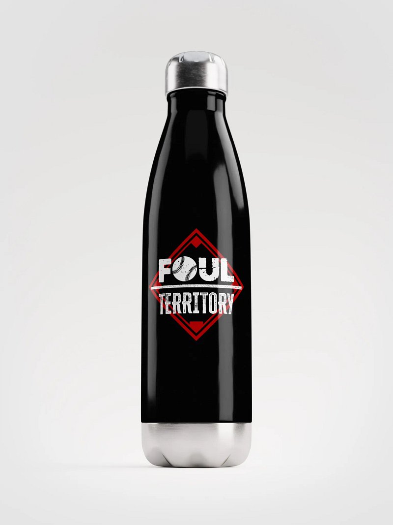 Stainless Steel Water Bottle