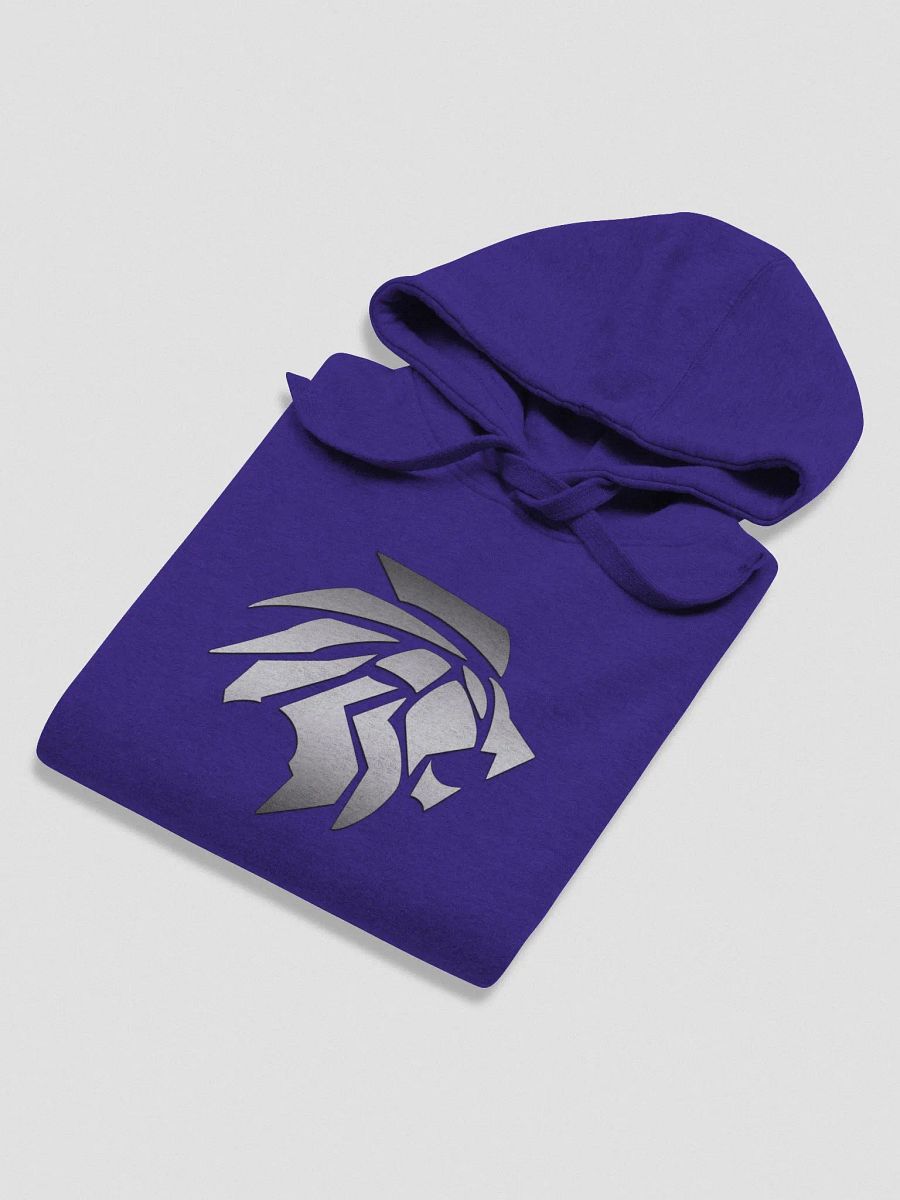 Big Logo Premium Hoodie - Unisex product image (36)