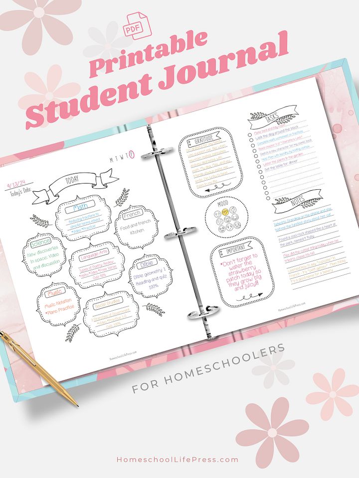 Homeschool Student Daily Journal Printable | Doodles product image (1)