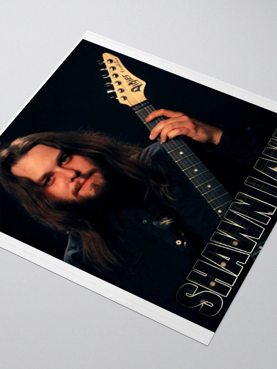 Vibrant Shawn Lane Vigier Sticker Set product image (3)