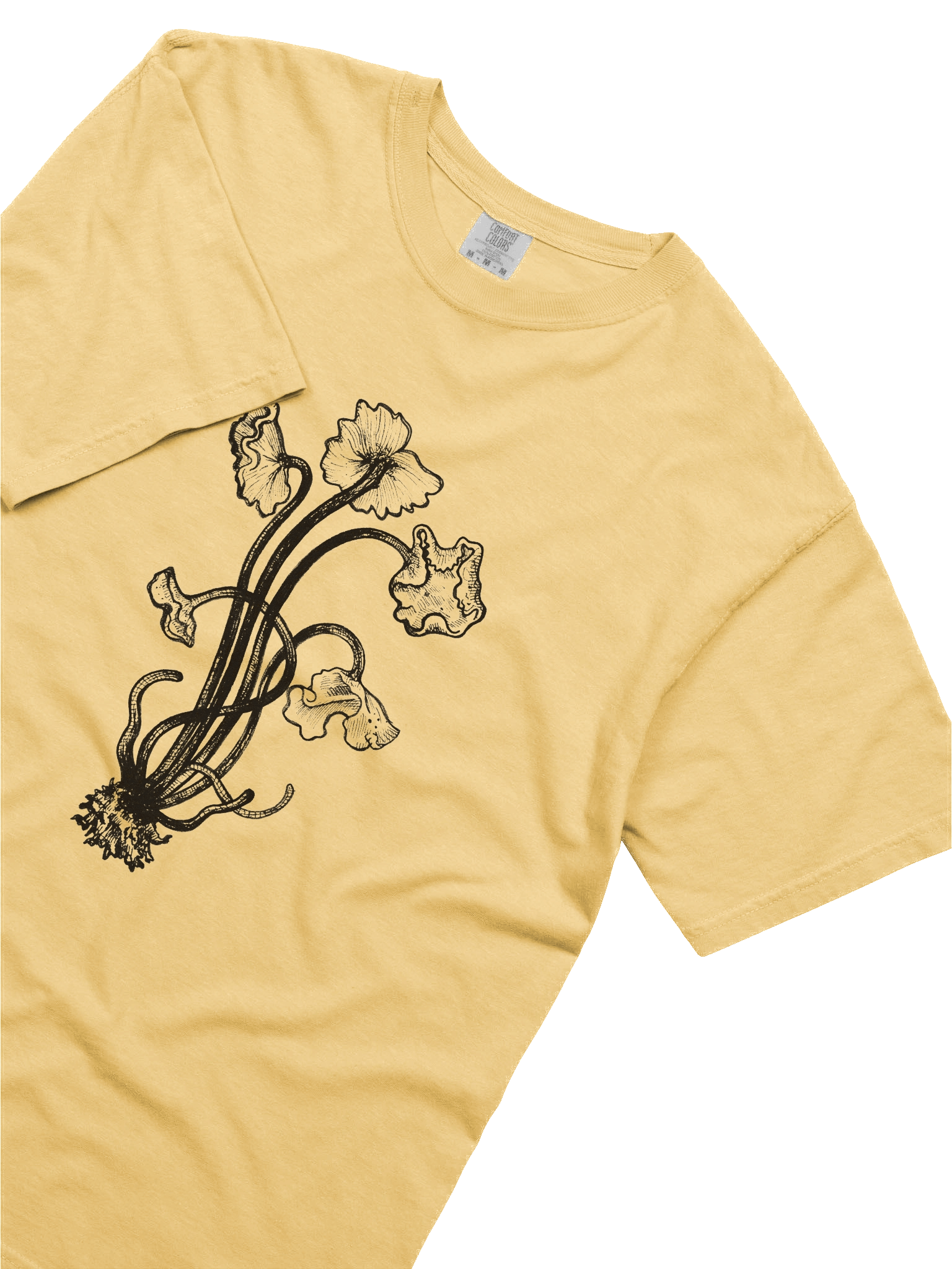 Brown Chanterelle - Print product image (45)