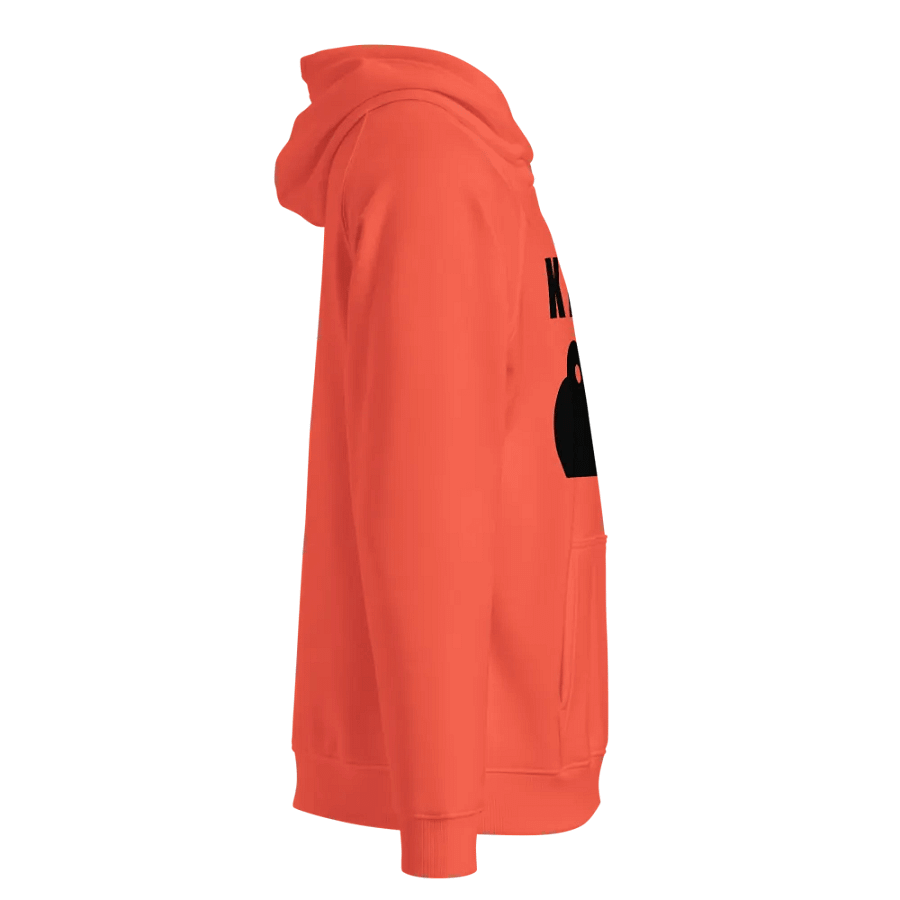 Eco Raglan Hoodie: Organic Comfort product image (4)