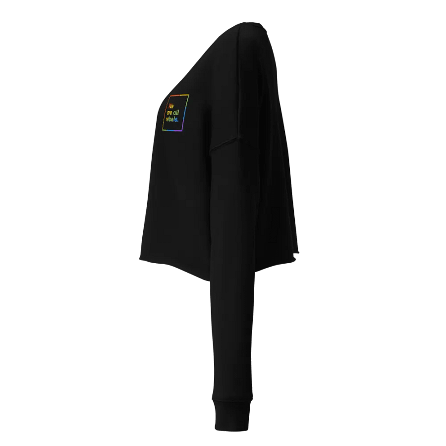 Pride Cropped Sweatshirt (Embroidered) product image (3)