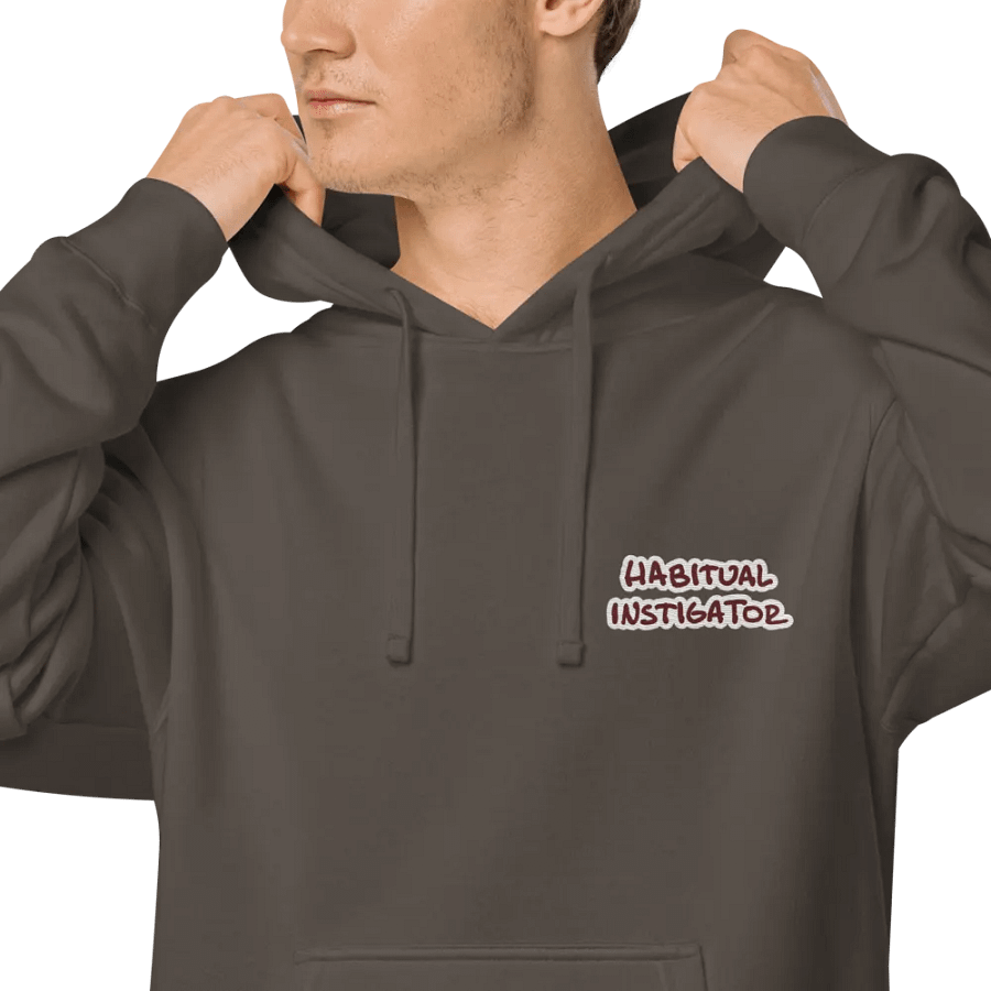 Habitual Instigator (L.C. maroon bubble design) embroidered pigment hoodie product image (7)