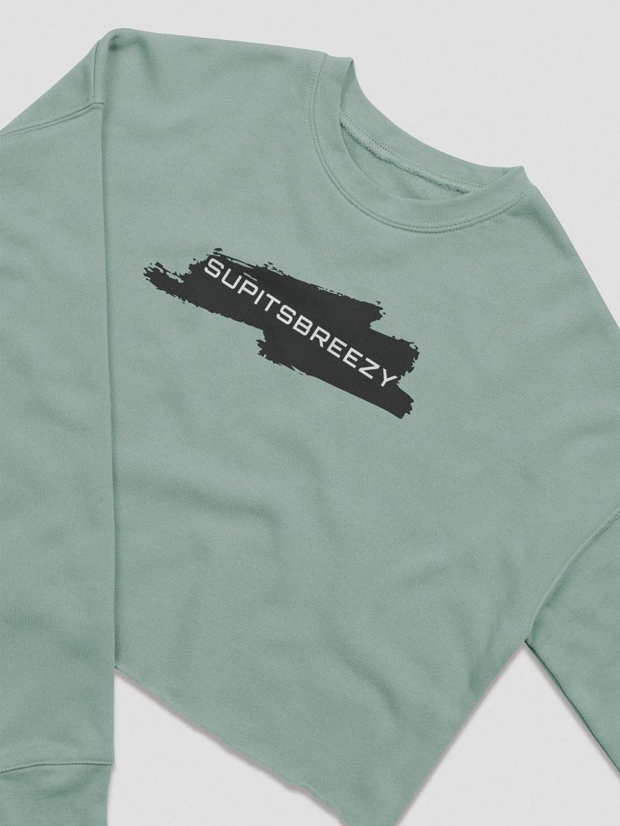 Breezy Logo Crop-Sweater! product image (2)