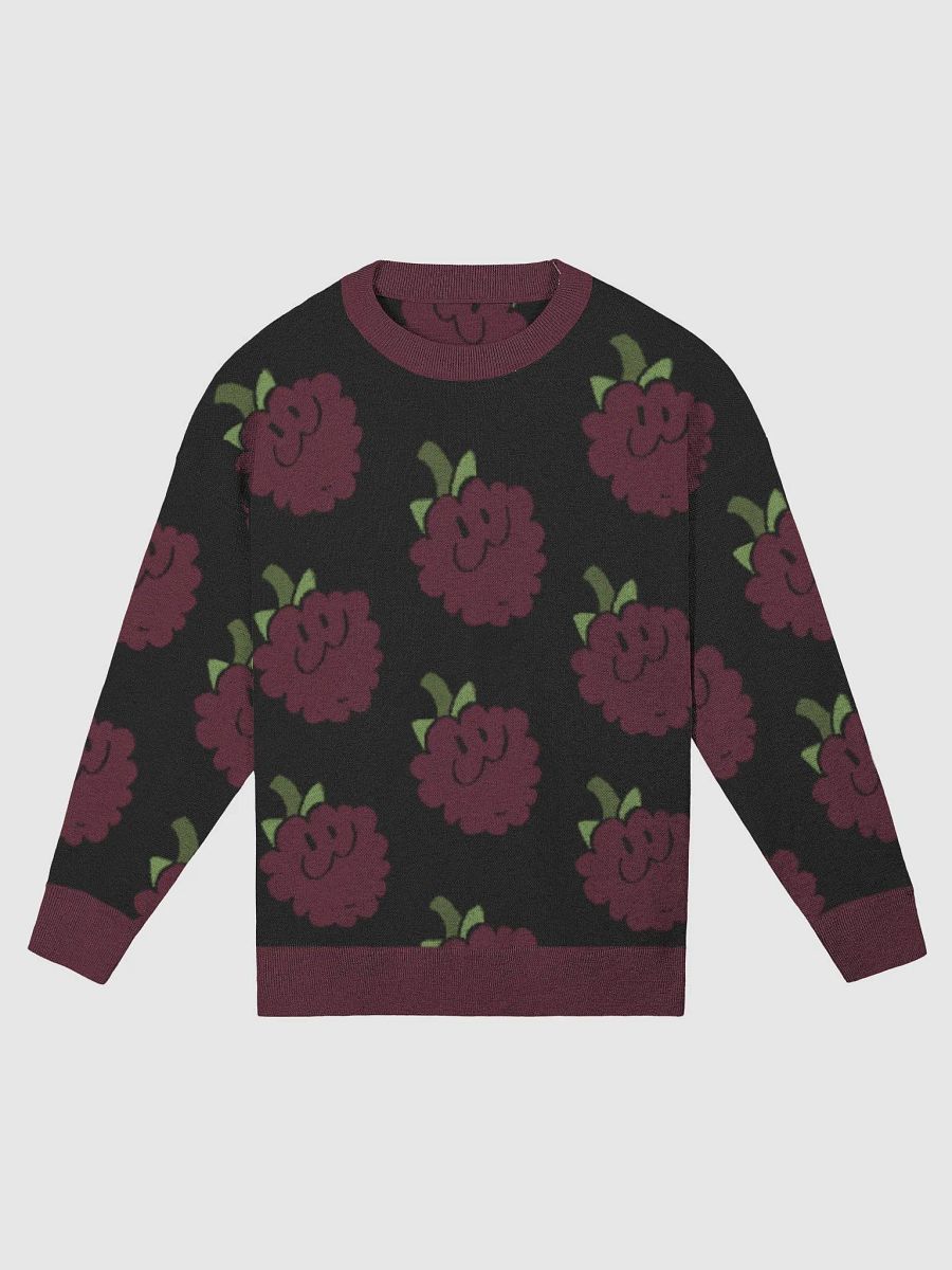 RalphBerry Knit Sweater product image (1)