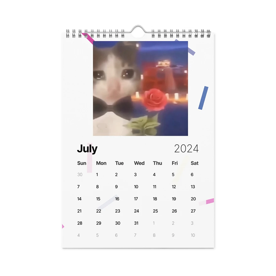 Wall Calendar (2024): Meme Cats product image (10)