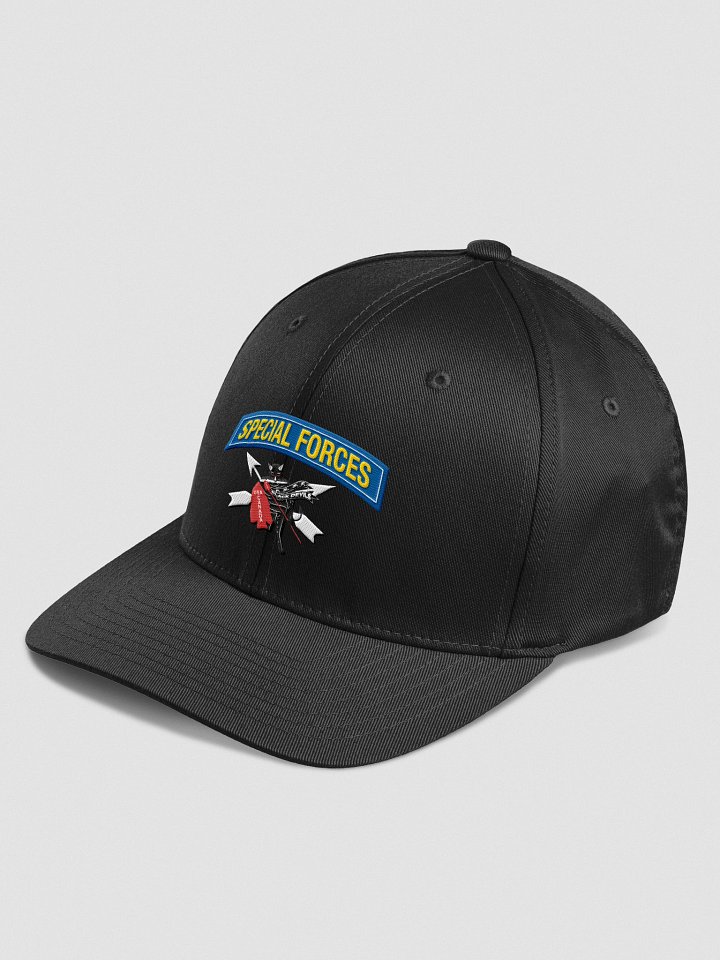 Devil's Brigade Cut Fitted Hat product image (6)