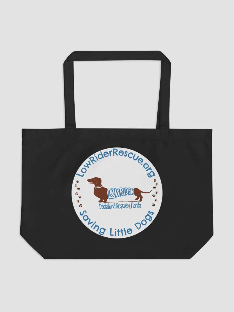 [LowRiderRescueFL] Large Eco Tote - Econscious EC8001 -1 product image (1)