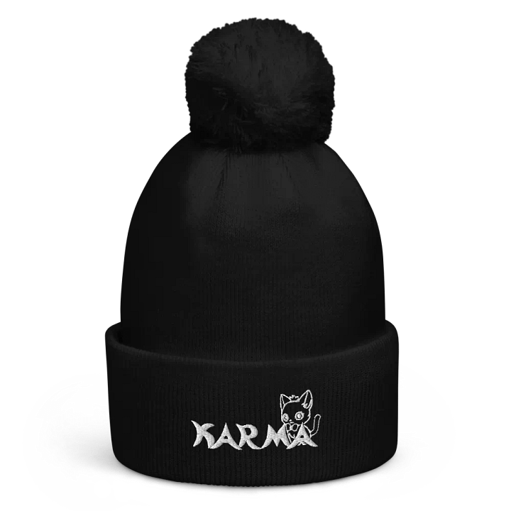 Beanie with Puff Ball product image (1)