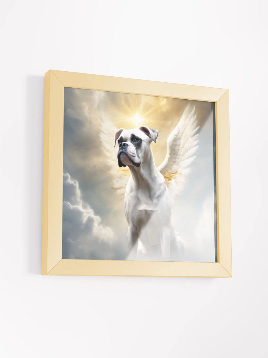 Angelic White Boxer product image (30)
