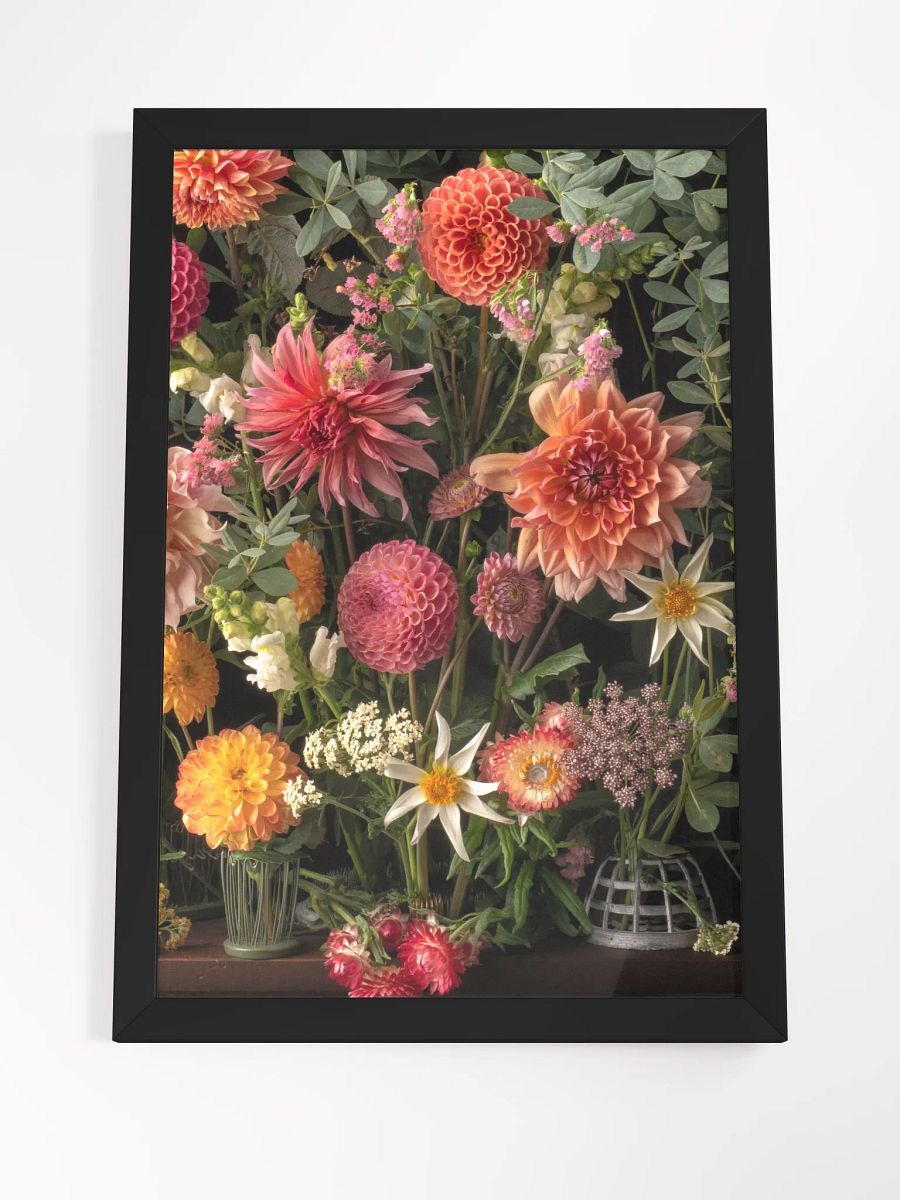 Dahlia Delight product image (3)