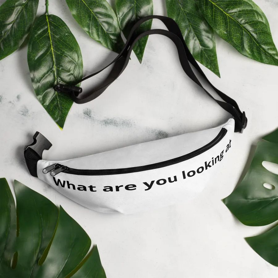 Fanny pack product image (4)