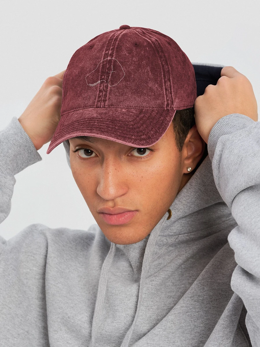 Pam & Benny's - Otto Vintage Wash Dad Hat product image (13)