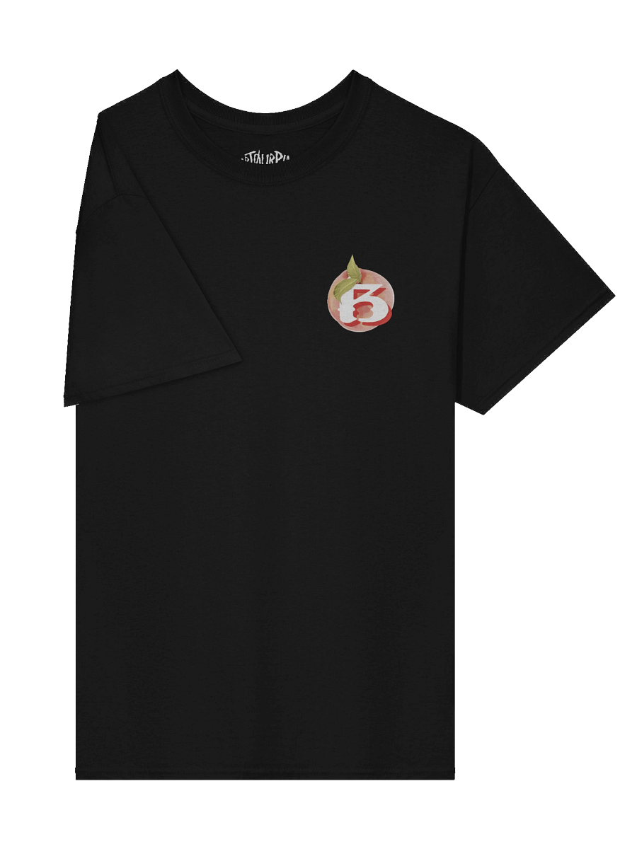 Breach Alpharetta Peach Tee (Dark) product image (3)