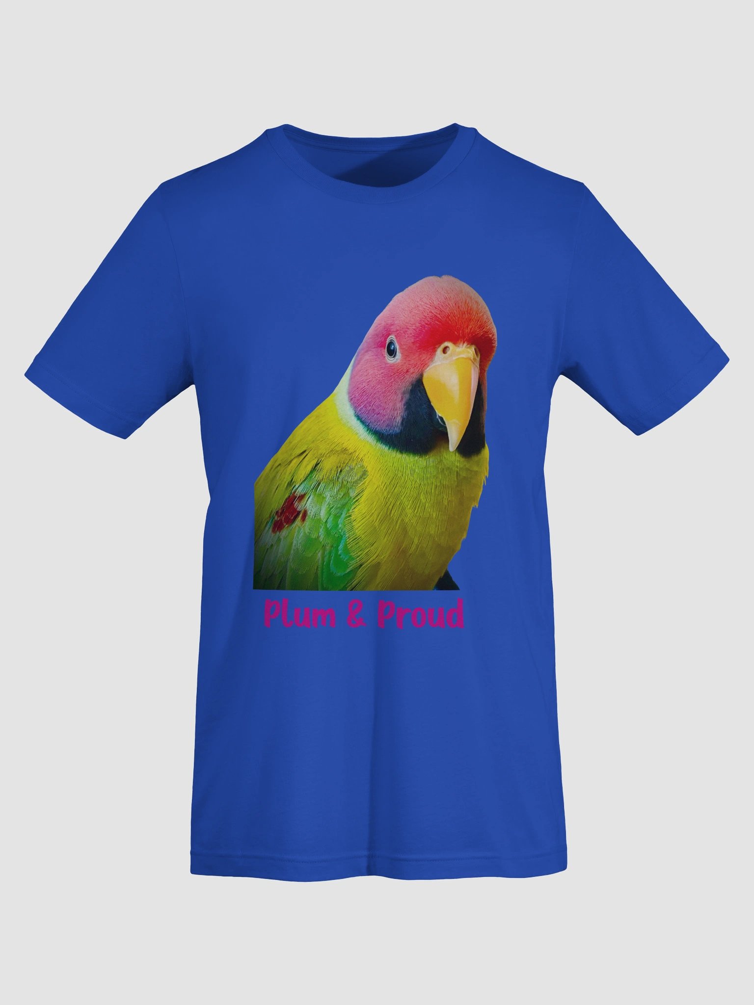 Plum-headed Parrot product image (4)