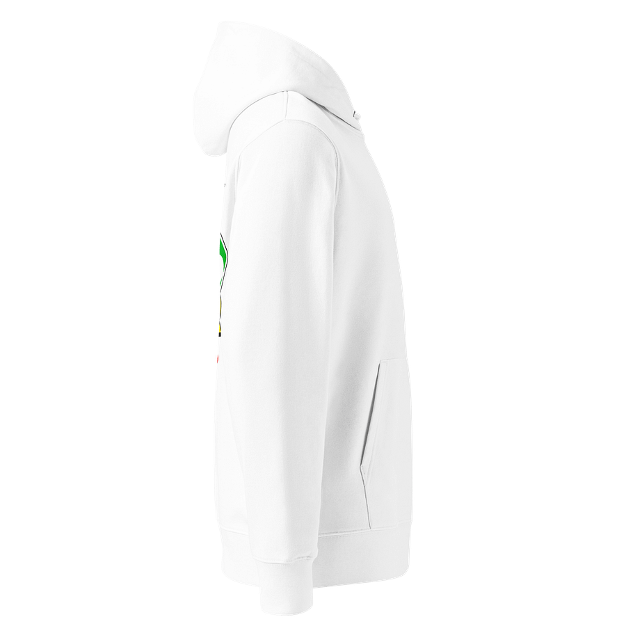 Class of 2026 Senior Hoodie product image (4)