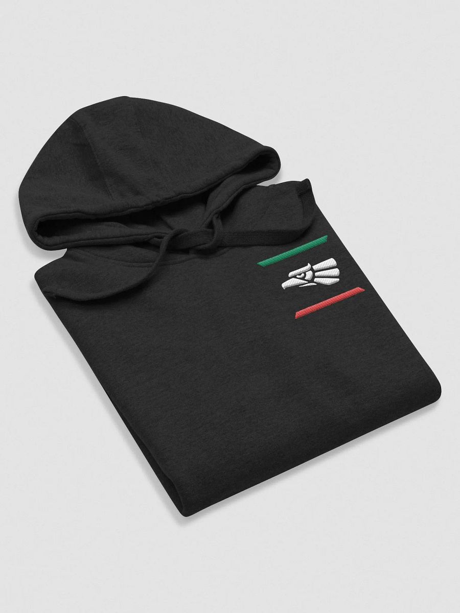 En México Embroidered Hoodie product image (6)