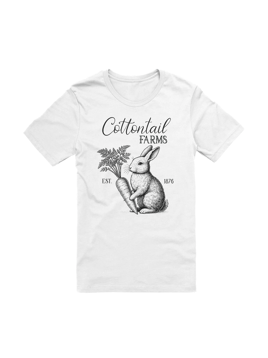 Cottontail Farms Vintage Ladies Tee product image (3)
