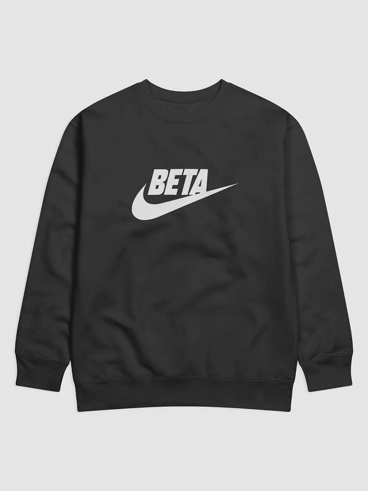 Lunas Beta Pullover Sweatshirt product image (1)