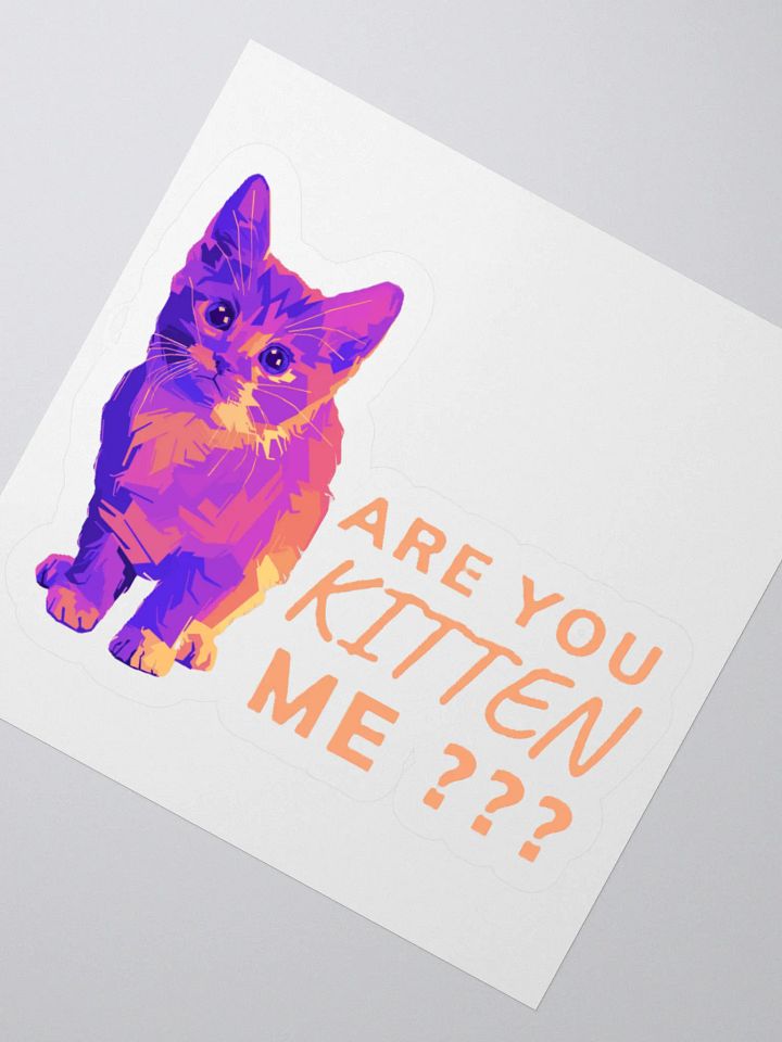 ARE YOU KITTEN ME??? product image (6)