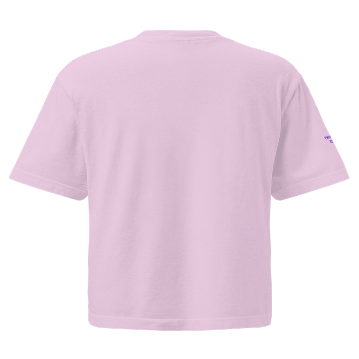 el☆ embroidered boxy tee product image (10)