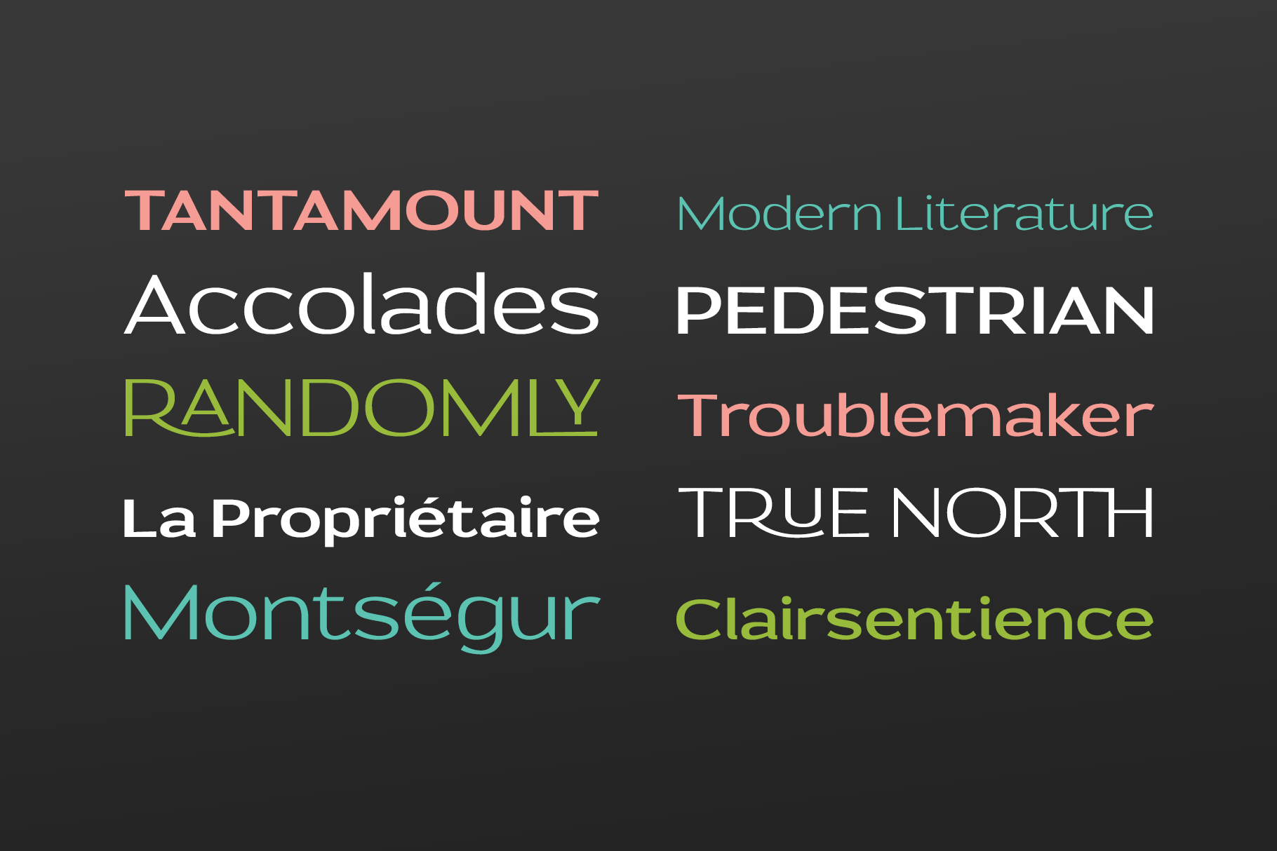 Prose Sans | A Wide Sans Serif Font Family product image (3)