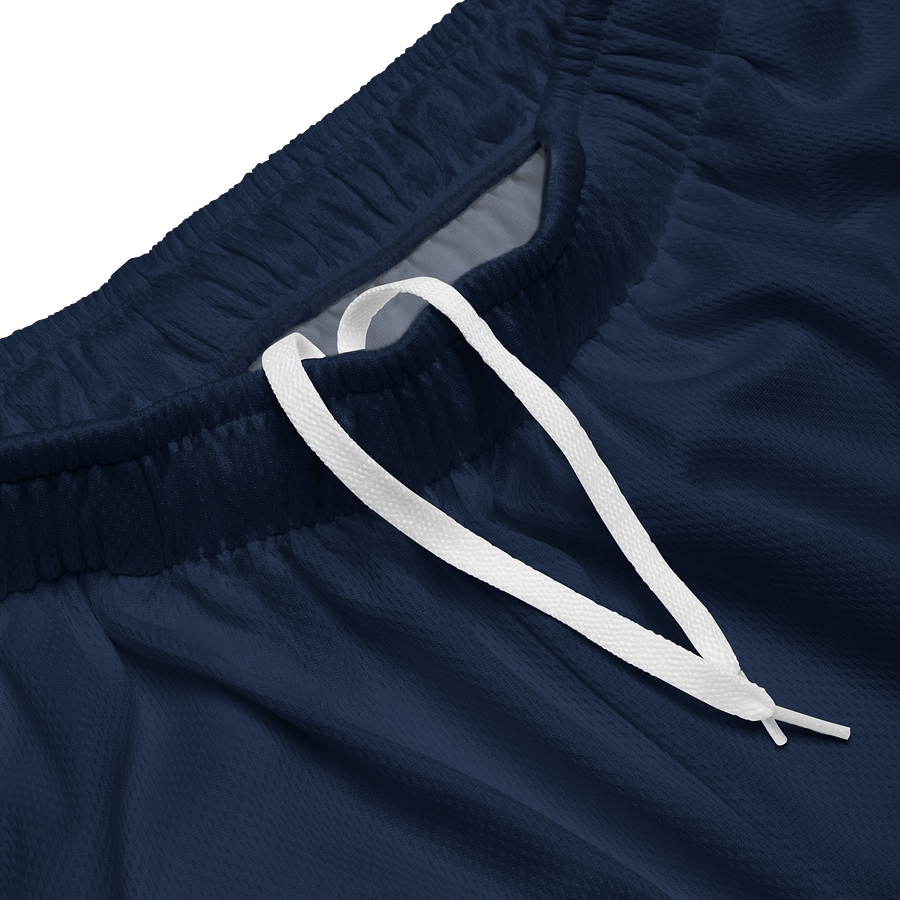 Main Logo Mesh Shorts (Navy) product image (3)