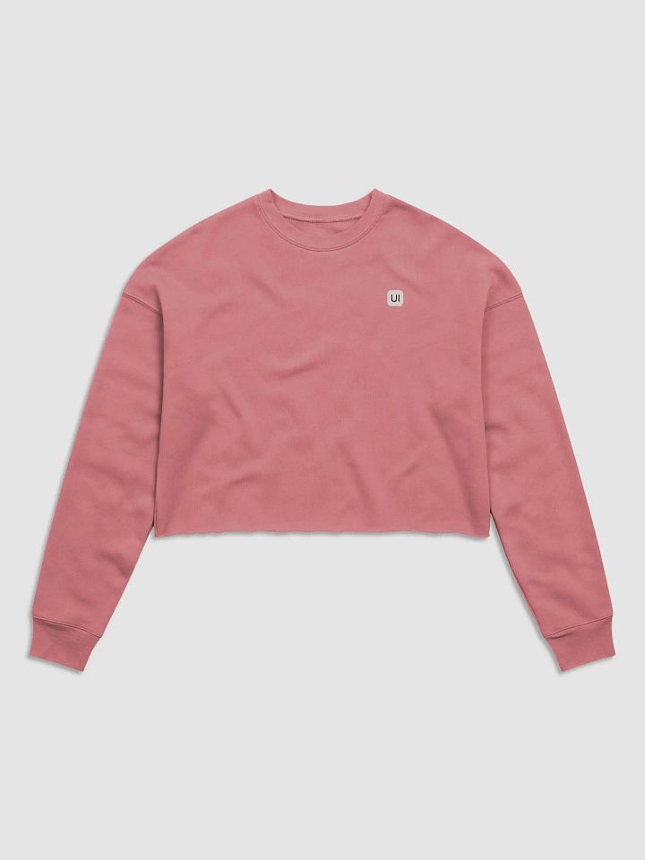 HeroUI Pink Hoddie product image (1)