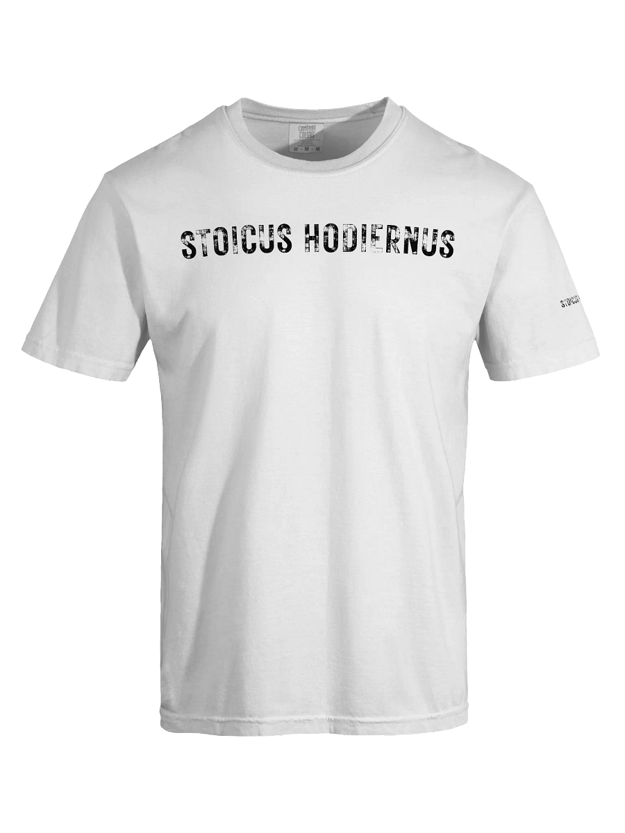 Modern Stoic Tee — “Fata Viam Invenient” Edition product image (5)