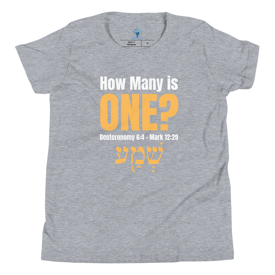 How Many is One Youth T-Shirt product image (4)