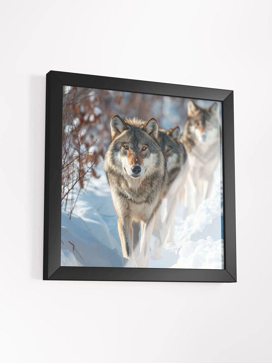 Wolf Pack in Snow: Majestic Winter Scene product image (3)
