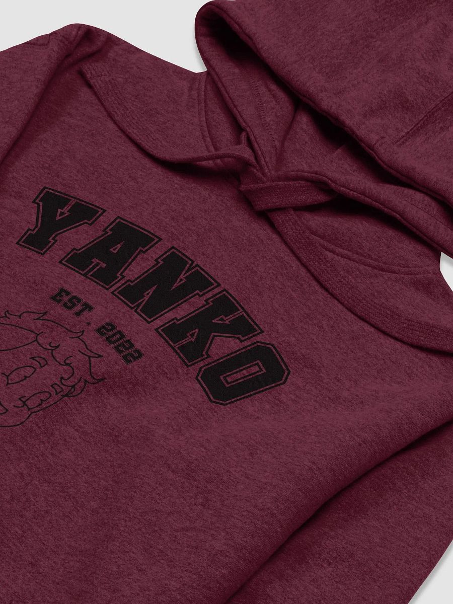 YANKO HOODIE product image (12)
