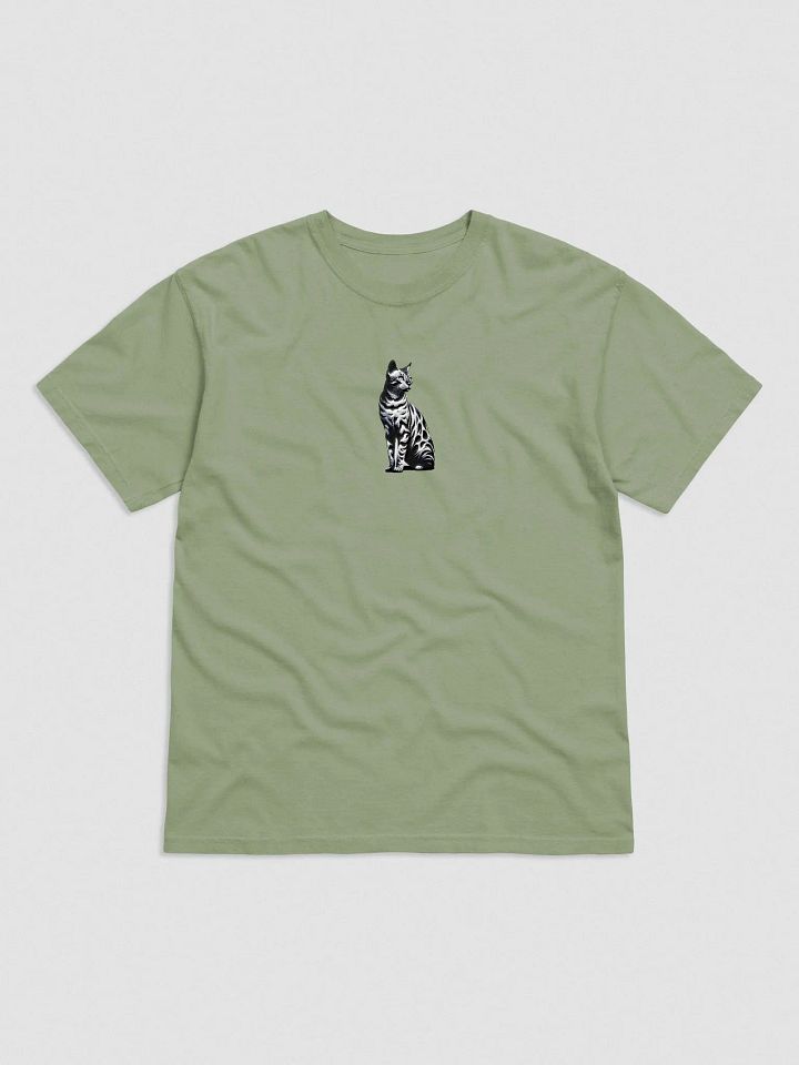 Comfort Colors Garment-Dyed Heavyweight T-Shirt: Bengal product image (2)