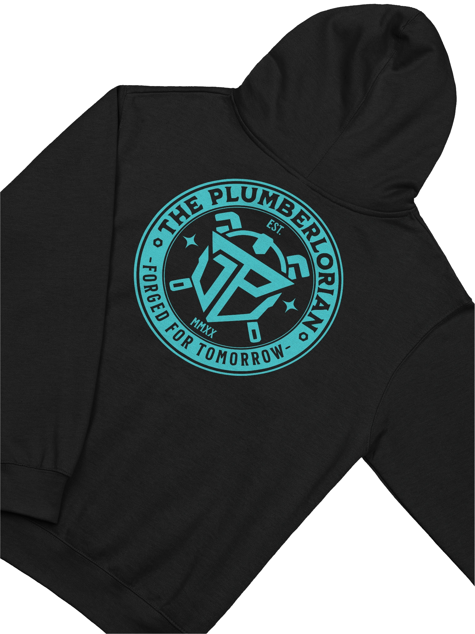 FORGED TEAL EMBLEM HOODIE product image (1)