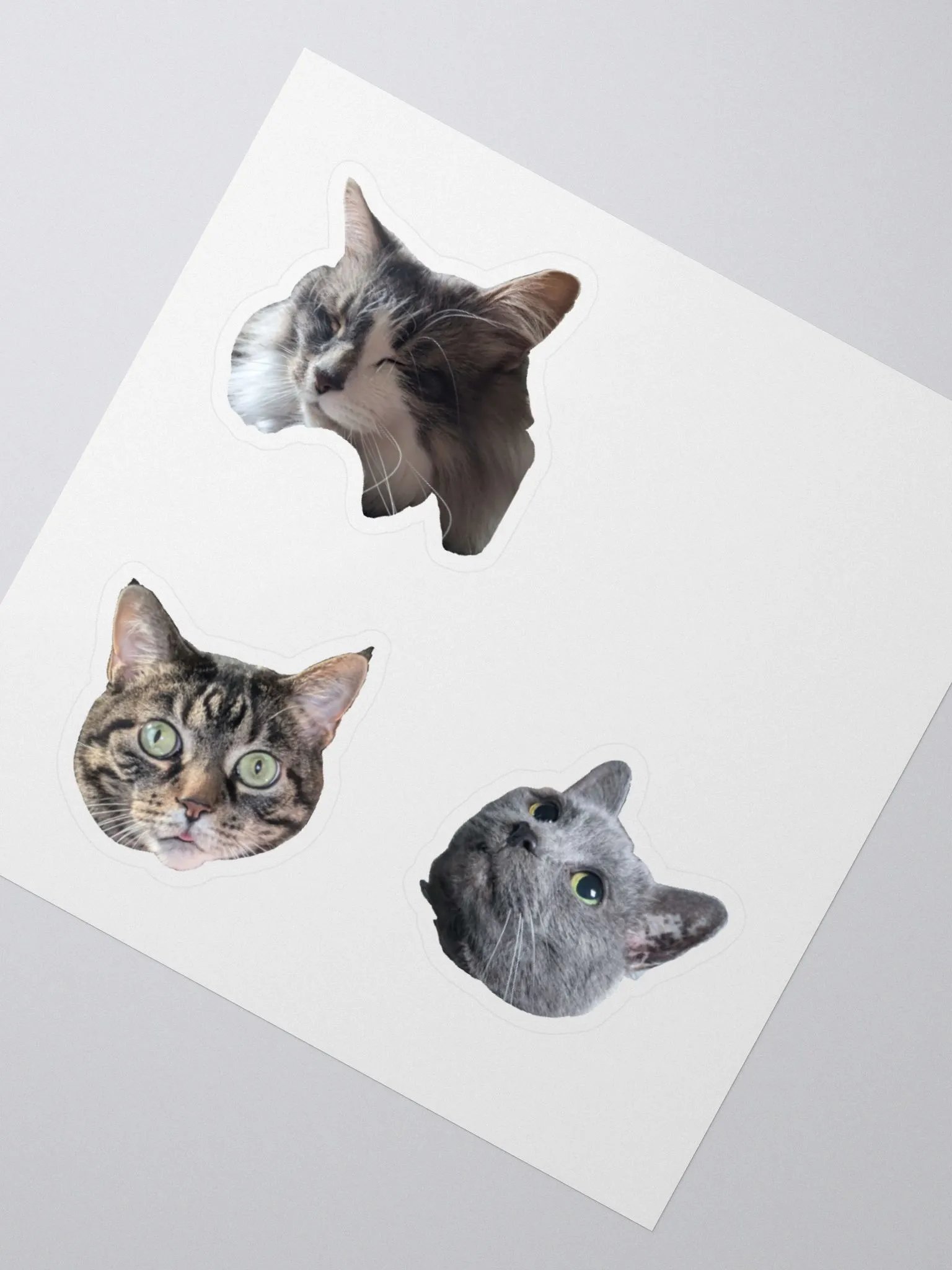 Kitty Stickers product image (4)