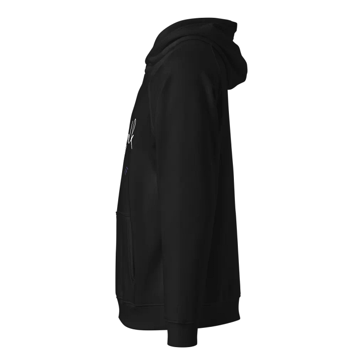 You'll Never Walk Alone Eco Raglan Hoodie product image (2)