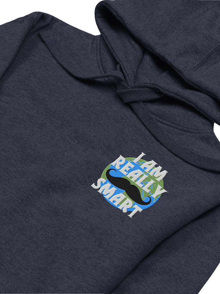 I Am Really Smart - Hoodie product image (1)