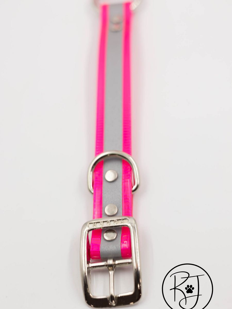 Waterproof Reflective Safety Dog Collar Bright Colors product image (4)