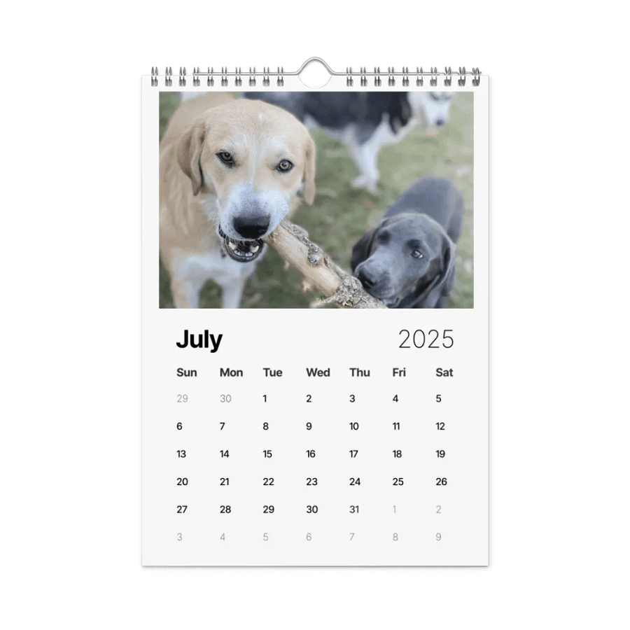 2025 Doggo Calendar product image (7)