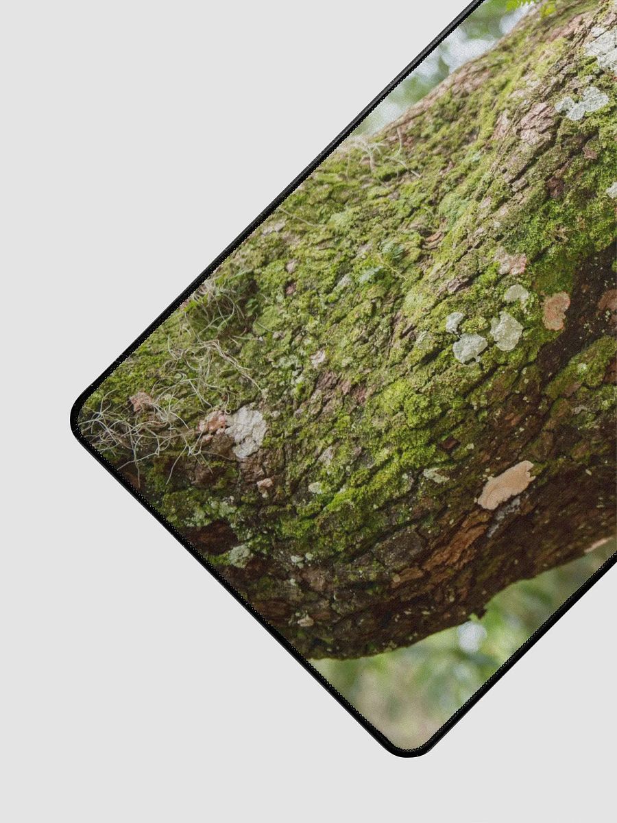 Desk Mat L4 - Southern Louisiana Series product image (2)