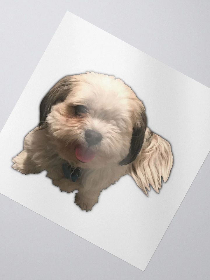 Scruffy Bug product image (2)
