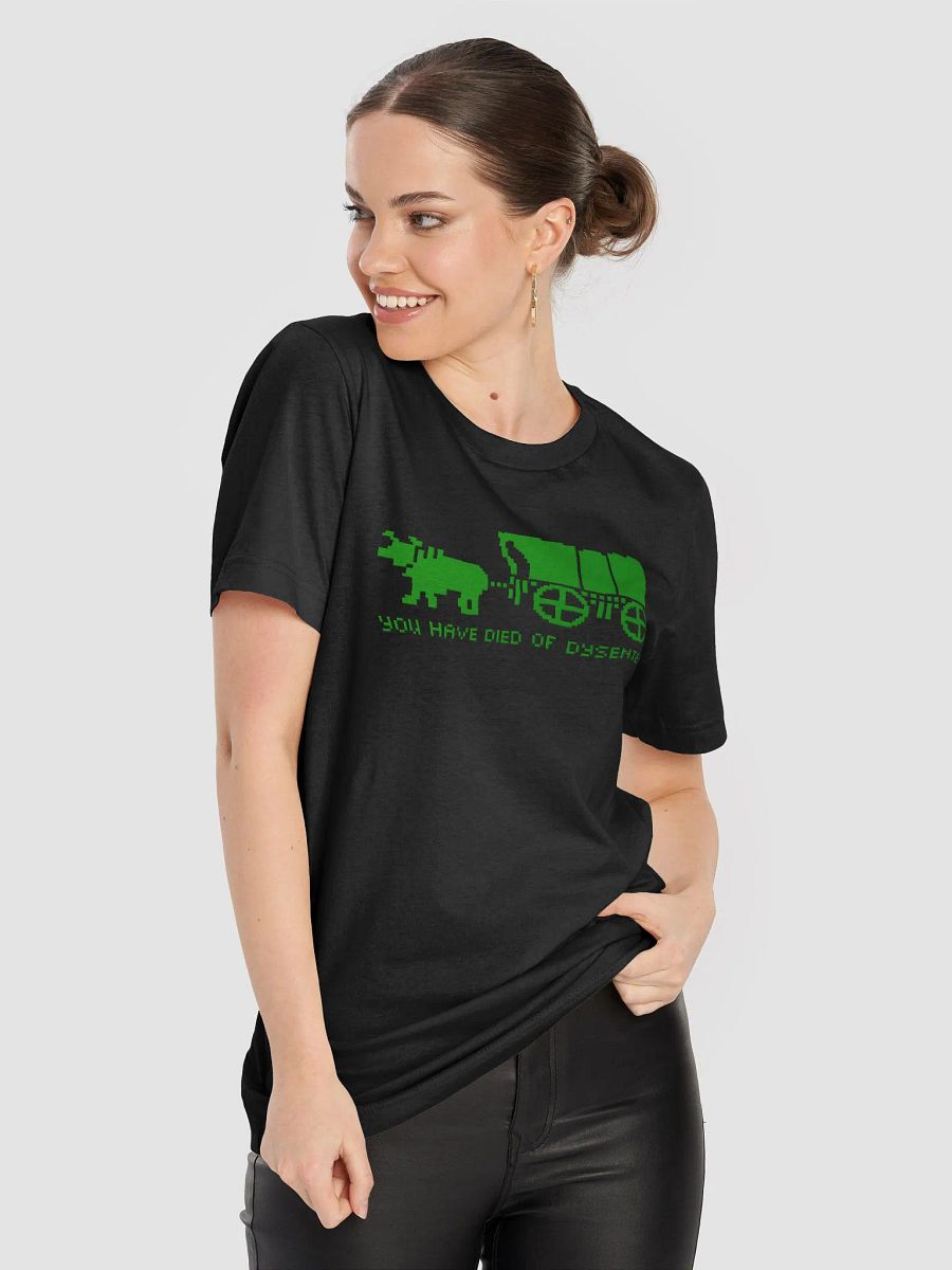 YOU HAVE DIED. (Oregon Trail tshirt) product image (8)