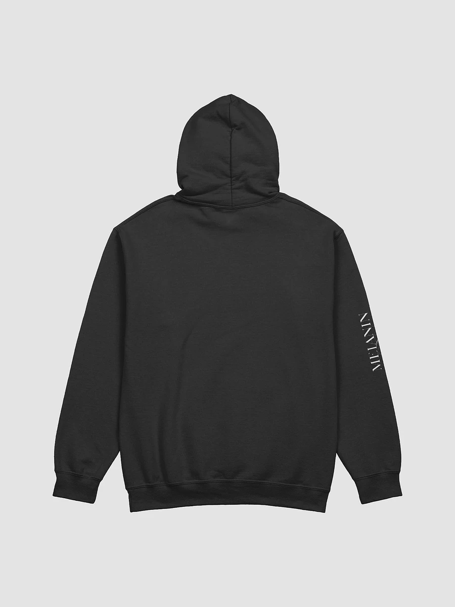 Melanin Library Hoodie | Support Black Authors product image (3)