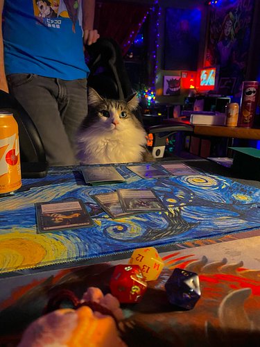 my opponent kicks ass and licks it a lil bit too
.
.
.
#mtg #magicthegathering #cat