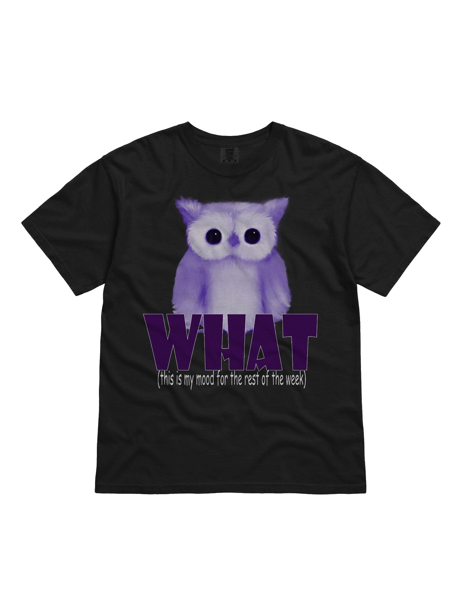 Whimsical 'WHAT.' Owl T-Shirt product image (1)