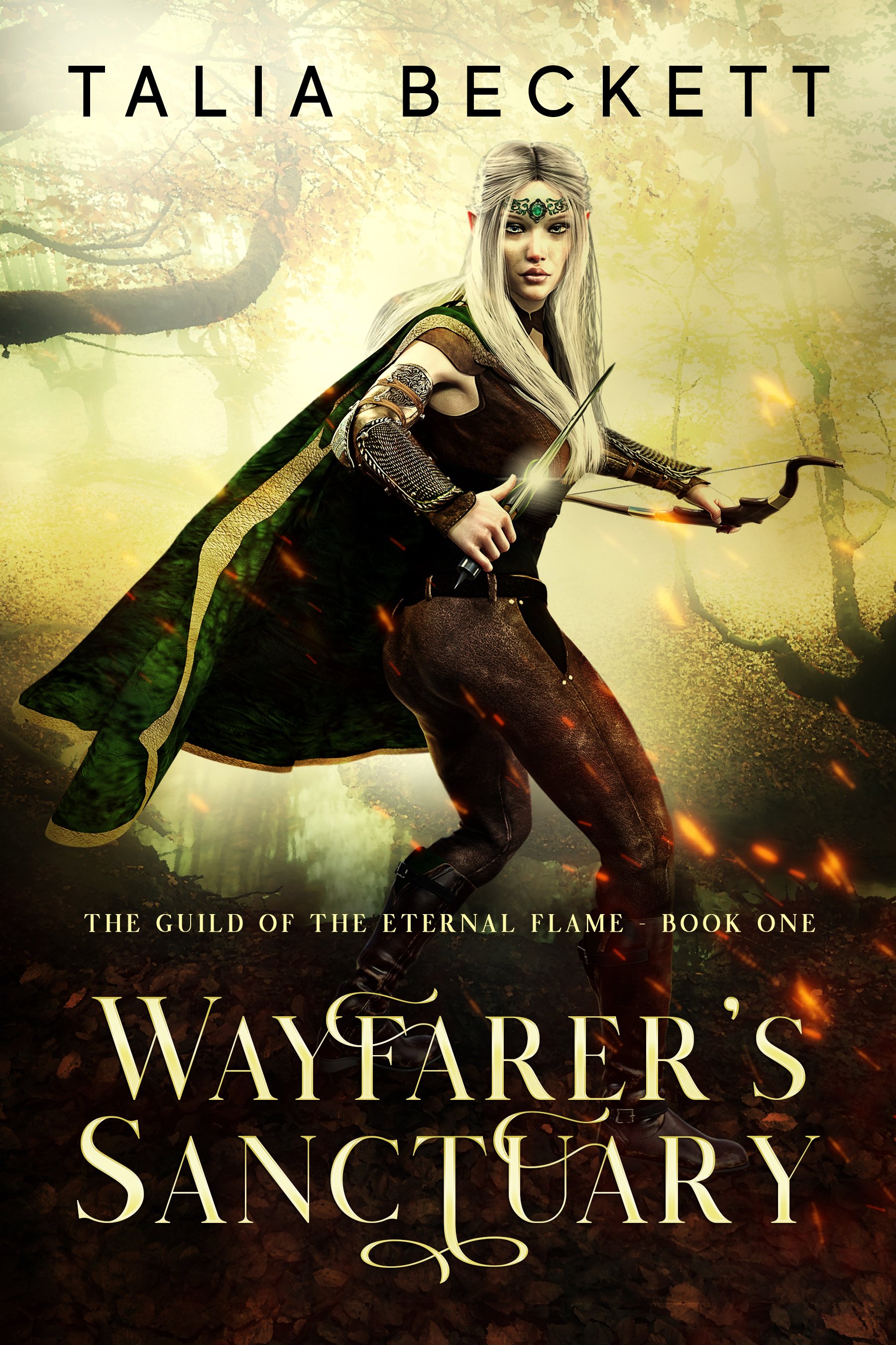 Wayfarer's Sanctuary - signed paperback product image (1)